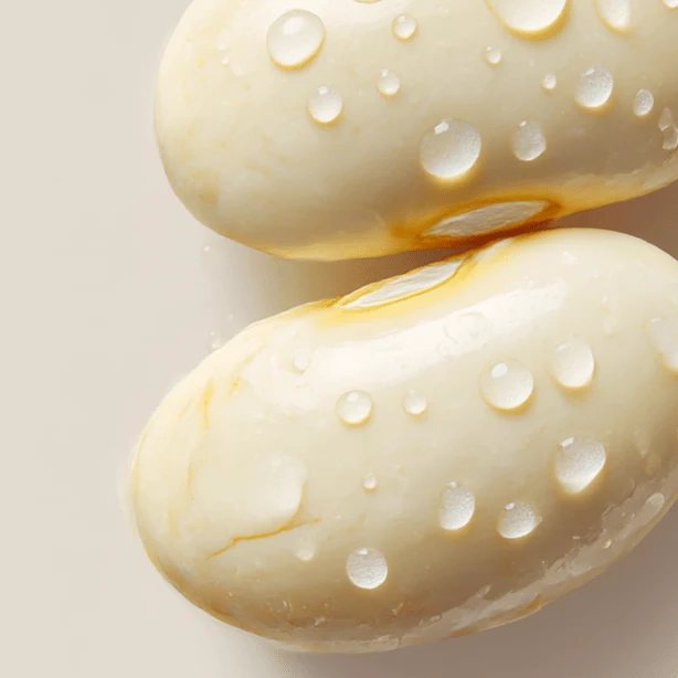 Two white butter beans beaded with water droplets