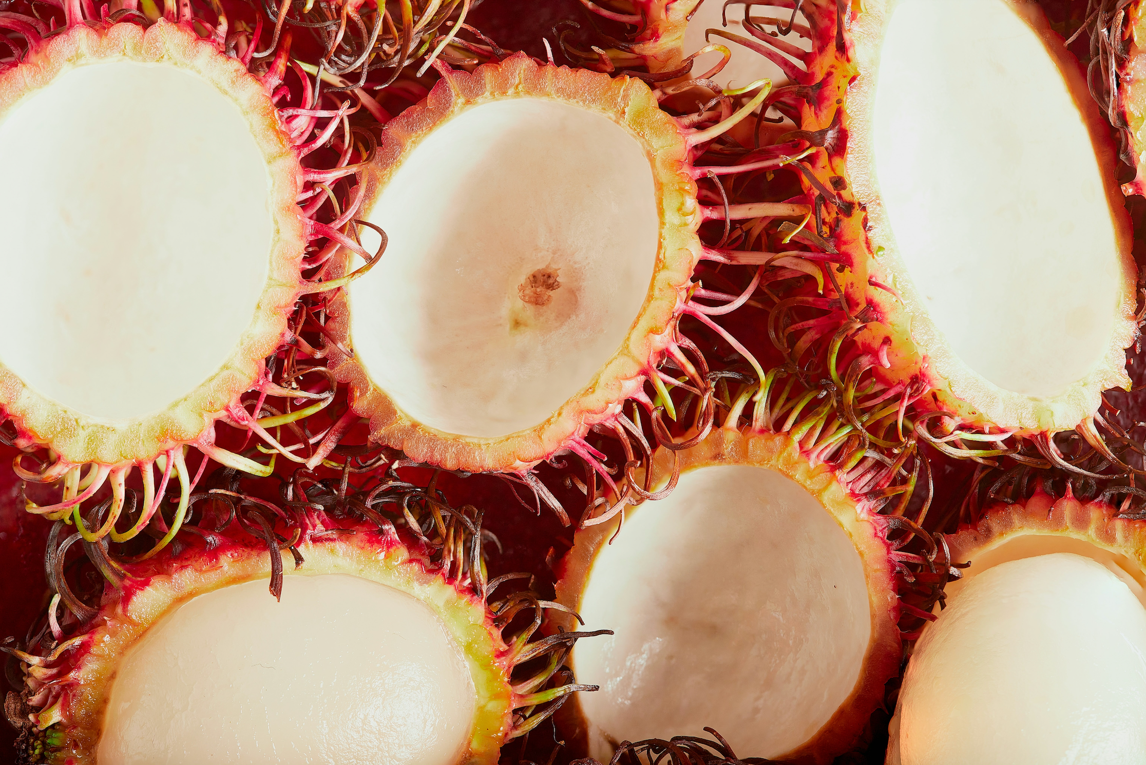 Your No-Nonsense Guide to a Healthy Gut: What Works & What Doesn’t